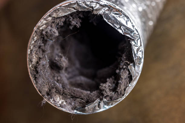 Best Affordable Air Duct Cleaning  in Timberlane, IL